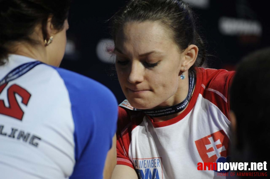 World Armwrestling Championship 2013 - day 4 # Siłowanie na ręce # Armwrestling # Armpower.net