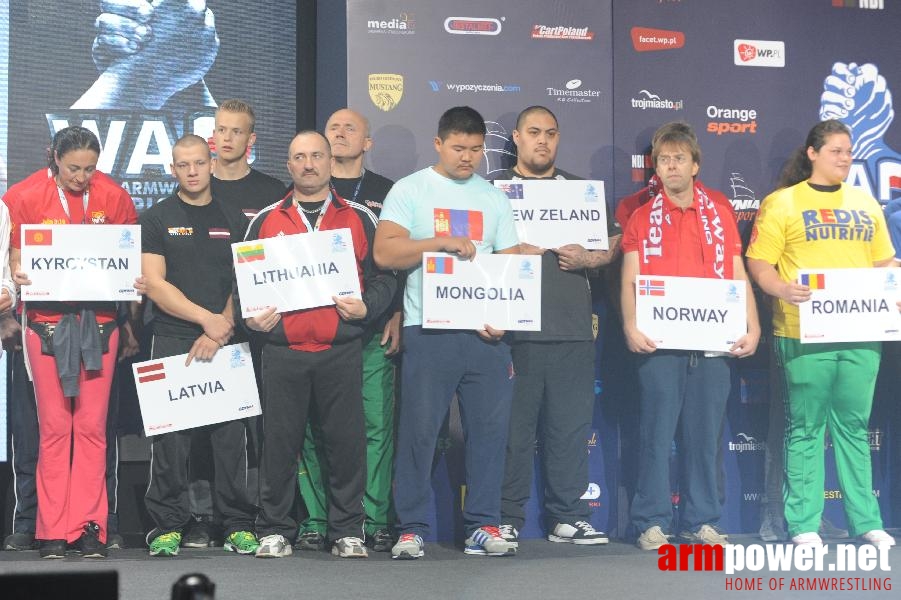 World Armwrestling Championship 2013 - photo: Irina # Aрмспорт # Armsport # Armpower.net