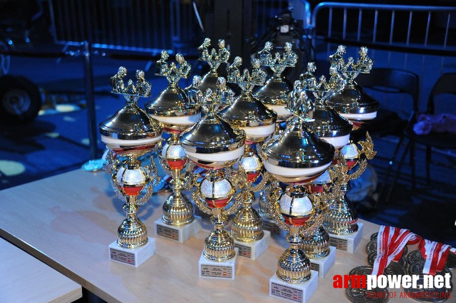 World Armwrestling Championship 2013 - photo: Irina # Armwrestling # Armpower.net