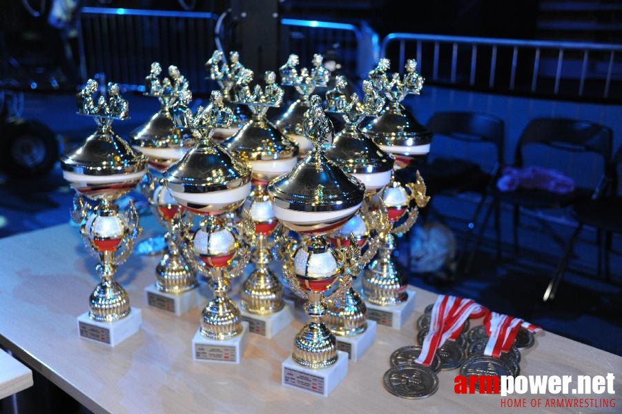 World Armwrestling Championship 2013 - photo: Irina # Armwrestling # Armpower.net