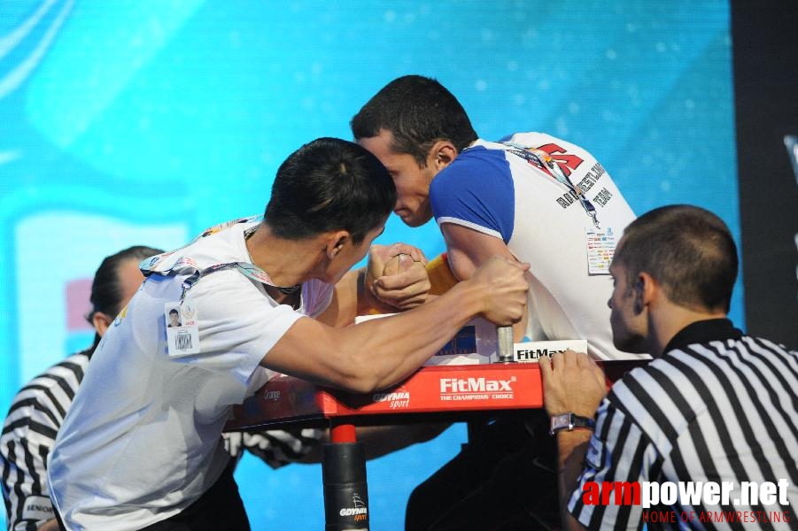 World Armwrestling Championship 2013 - photo: Irina # Aрмспорт # Armsport # Armpower.net