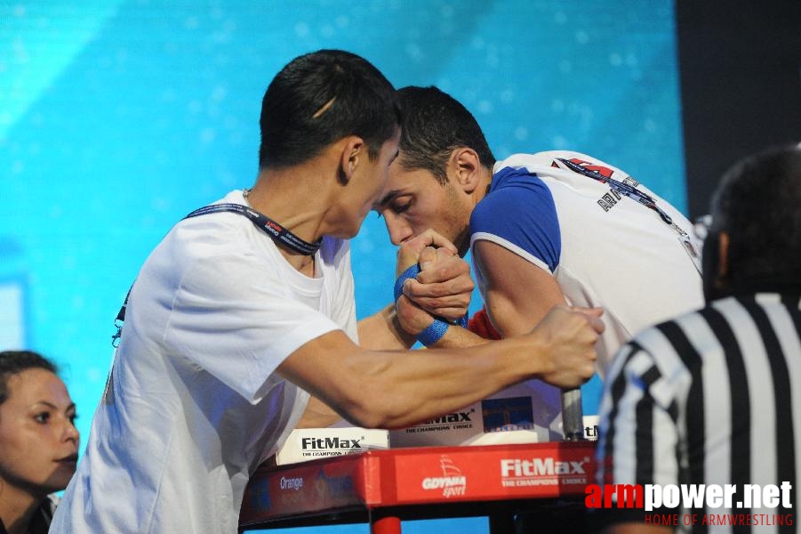 World Armwrestling Championship 2013 - photo: Irina # Aрмспорт # Armsport # Armpower.net