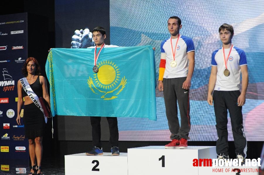 World Armwrestling Championship 2013 - photo: Irina # Aрмспорт # Armsport # Armpower.net