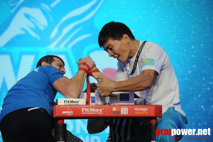 World Armwrestling Championship 2013 - photo: Irina # Armwrestling # Armpower.net