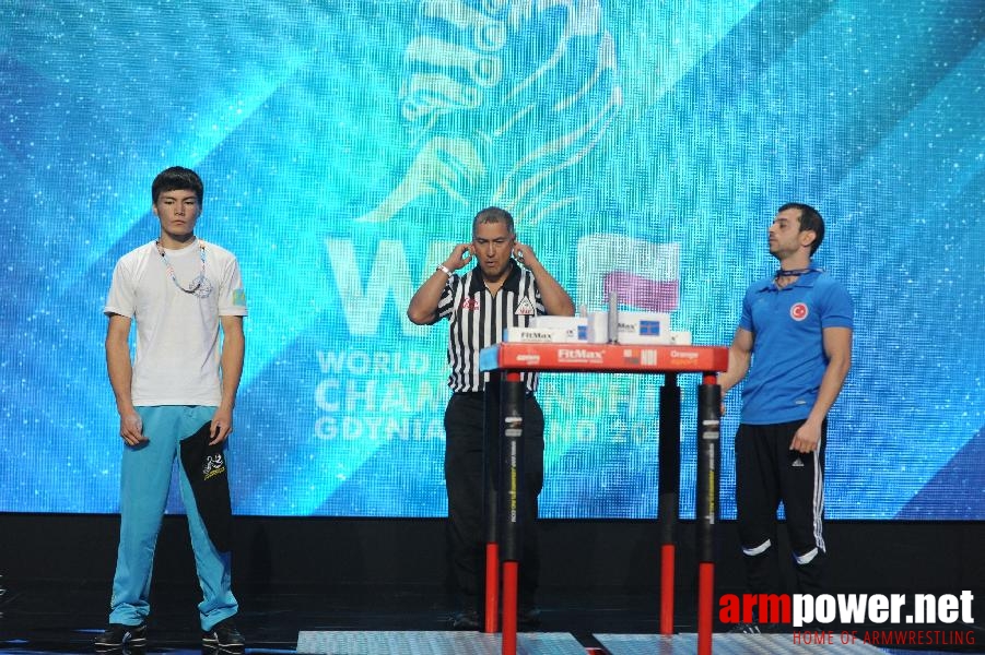 World Armwrestling Championship 2013 - photo: Irina # Armwrestling # Armpower.net