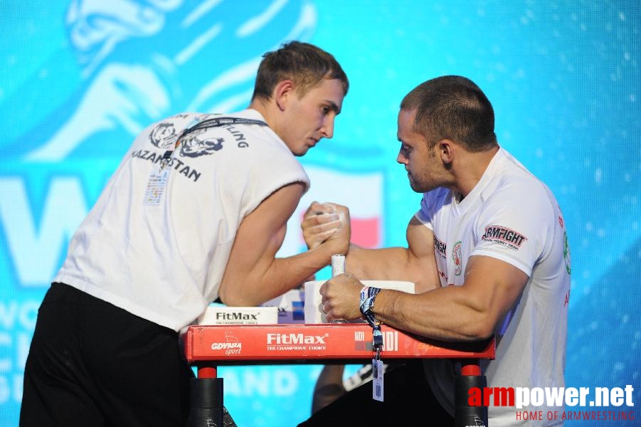 World Armwrestling Championship 2013 - photo: Irina # Aрмспорт # Armsport # Armpower.net