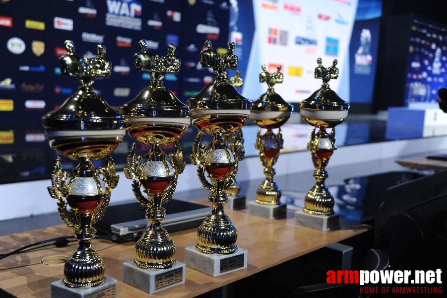 World Armwrestling Championship 2013 - photo: Irina # Armwrestling # Armpower.net