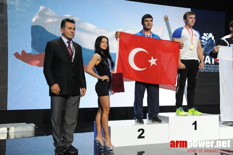 World Armwrestling Championship 2013 - photo: Irina # Armwrestling # Armpower.net