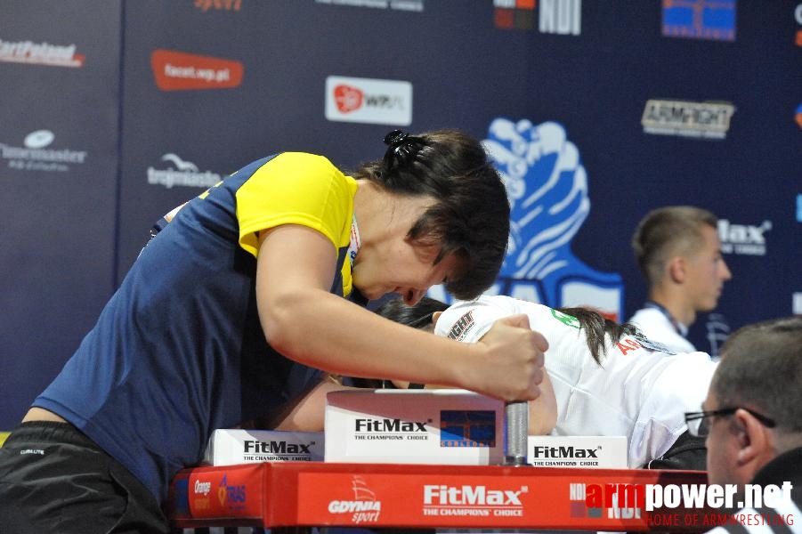 World Armwrestling Championship 2013 - day 1 - photo: Mirek # Aрмспорт # Armsport # Armpower.net