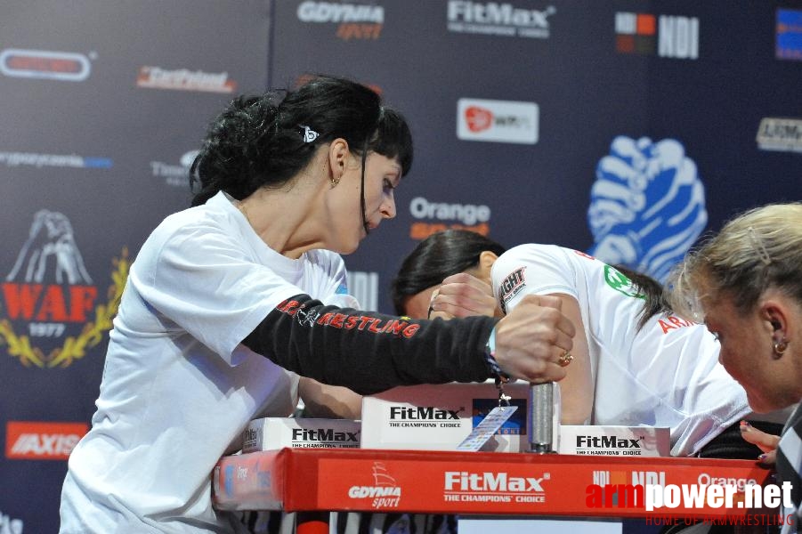 World Armwrestling Championship 2013 - day 1 - photo: Mirek # Siłowanie na ręce # Armwrestling # Armpower.net