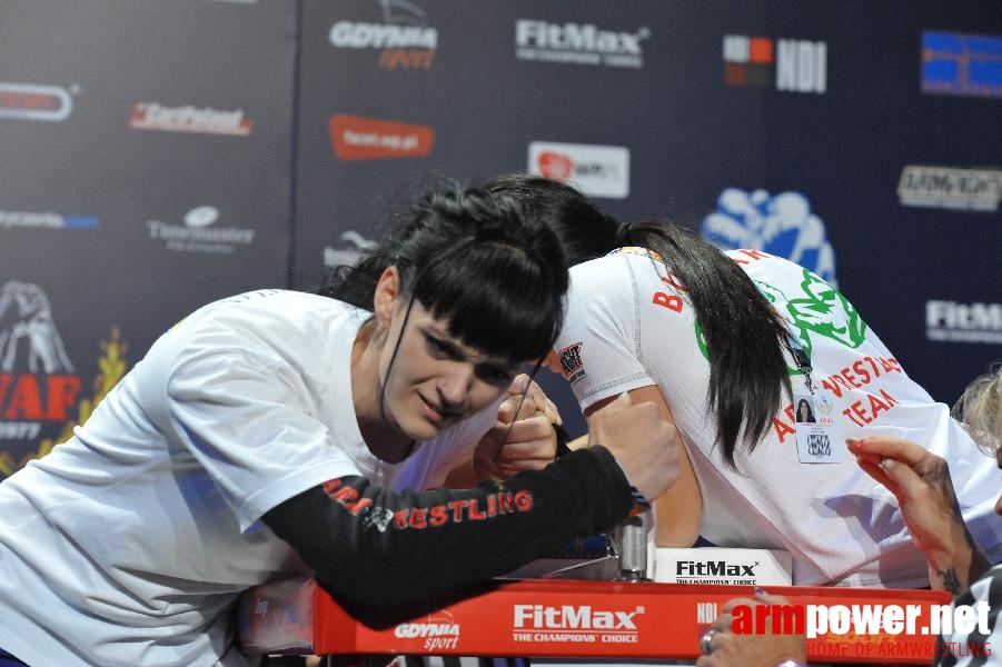 World Armwrestling Championship 2013 - day 1 - photo: Mirek # Armwrestling # Armpower.net