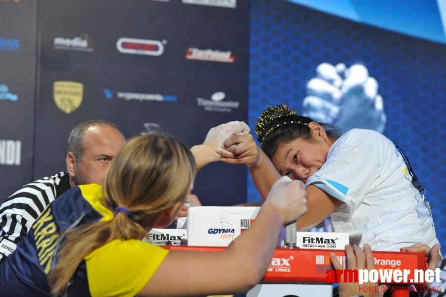 World Armwrestling Championship 2013 - day 1 - photo: Mirek # Aрмспорт # Armsport # Armpower.net