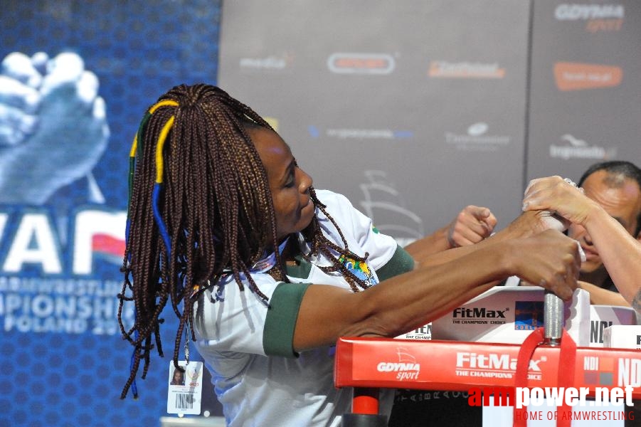 World Armwrestling Championship 2013 - day 1 - photo: Mirek # Aрмспорт # Armsport # Armpower.net