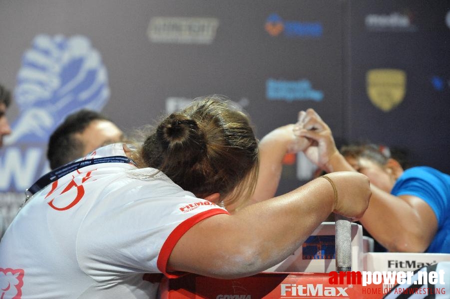 World Armwrestling Championship 2013 - day 1 - photo: Mirek # Aрмспорт # Armsport # Armpower.net