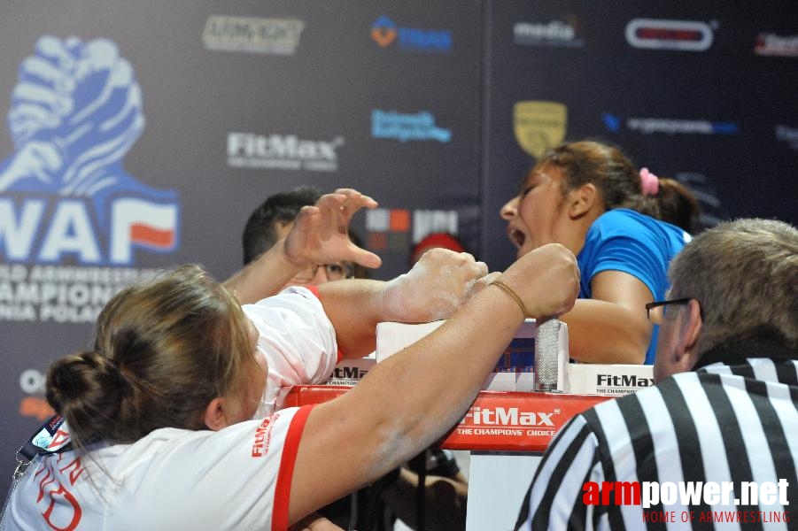 World Armwrestling Championship 2013 - day 1 - photo: Mirek # Aрмспорт # Armsport # Armpower.net