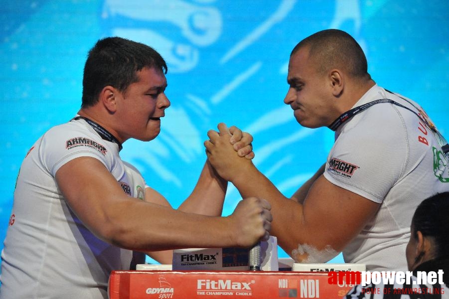 World Armwrestling Championship 2013 - day 1 - photo: Mirek # Aрмспорт # Armsport # Armpower.net