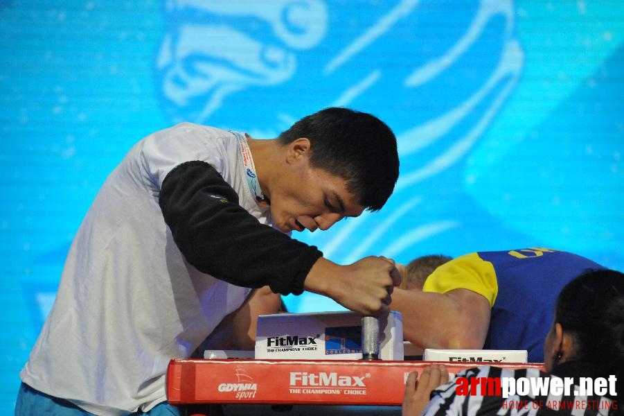 World Armwrestling Championship 2013 - day 1 - photo: Mirek # Aрмспорт # Armsport # Armpower.net