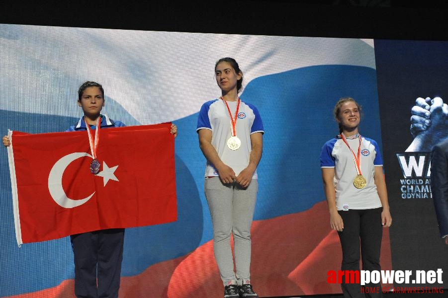 World Armwrestling Championship 2013 - day 1 - photo: Mirek # Aрмспорт # Armsport # Armpower.net