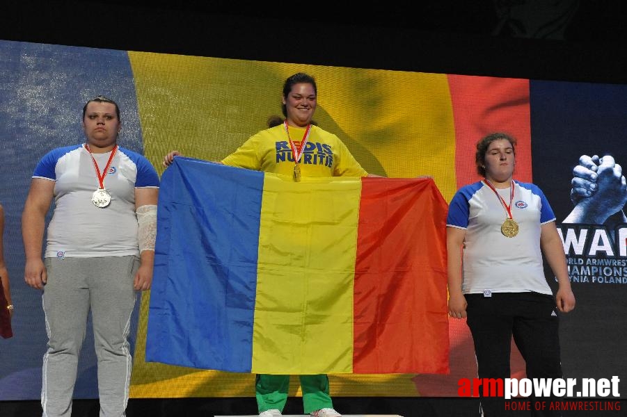 World Armwrestling Championship 2013 - day 1 - photo: Mirek # Aрмспорт # Armsport # Armpower.net