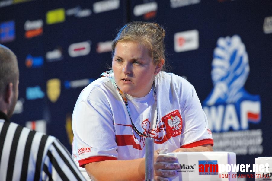 World Armwrestling Championship 2013 - day 2 - photo: Mirek # Aрмспорт # Armsport # Armpower.net