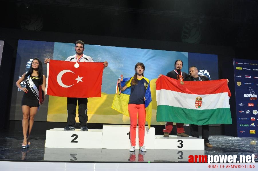 World Armwrestling Championship 2013 - day 2 - photo: Mirek # Aрмспорт # Armsport # Armpower.net