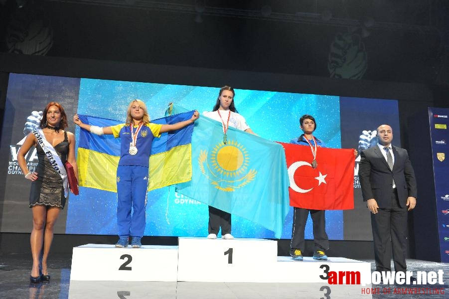 World Armwrestling Championship 2013 - day 2 - photo: Mirek # Aрмспорт # Armsport # Armpower.net