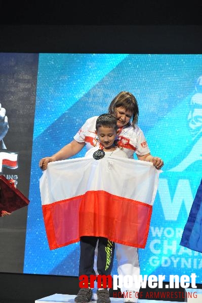 World Armwrestling Championship 2013 - day 2 - photo: Mirek # Aрмспорт # Armsport # Armpower.net