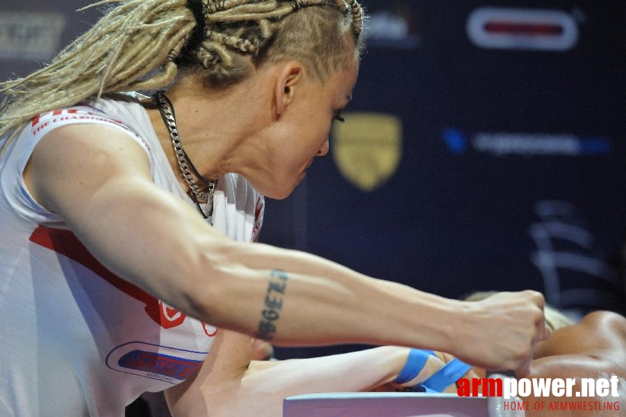 World Armwrestling Championship 2013 - day 3 - photo: Mirek # Aрмспорт # Armsport # Armpower.net