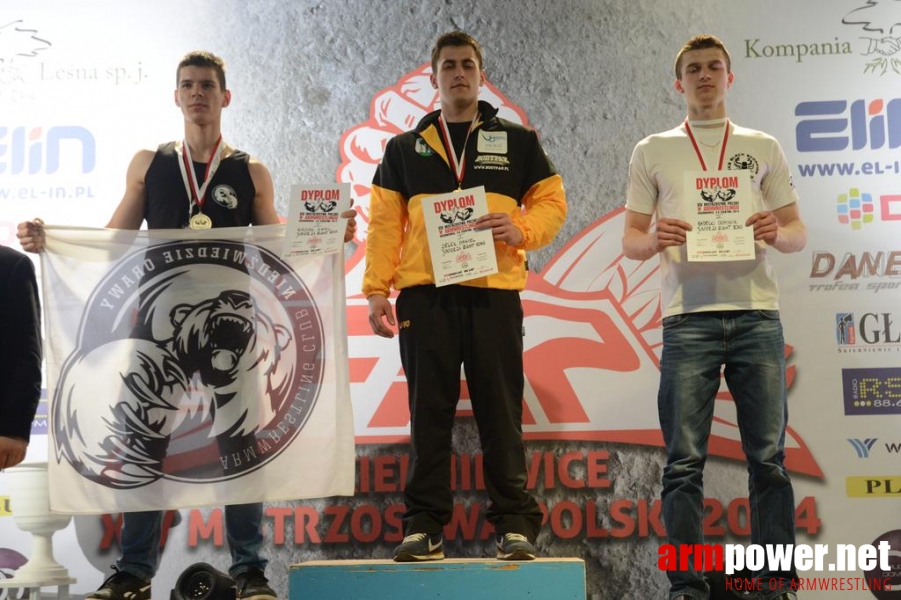 Polish Nationals 2014 - Mistrzostwa Polski 2014 - prawa ręka # Armwrestling # Armpower.net