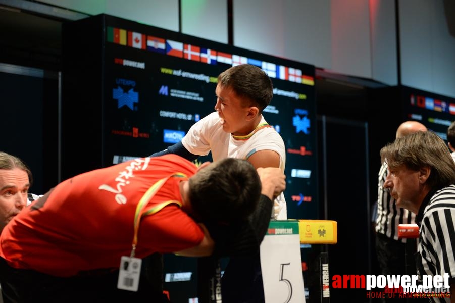 World Armwrestling Championship 2014 - day 3 # Armwrestling # Armpower.net