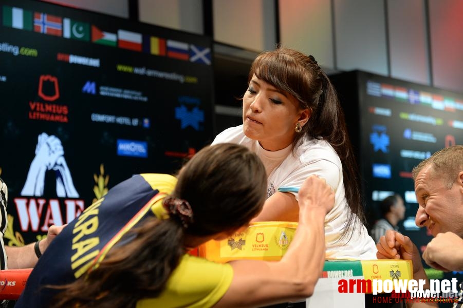 World Armwrestling Championship 2014 - day 4 # Aрмспорт # Armsport # Armpower.net